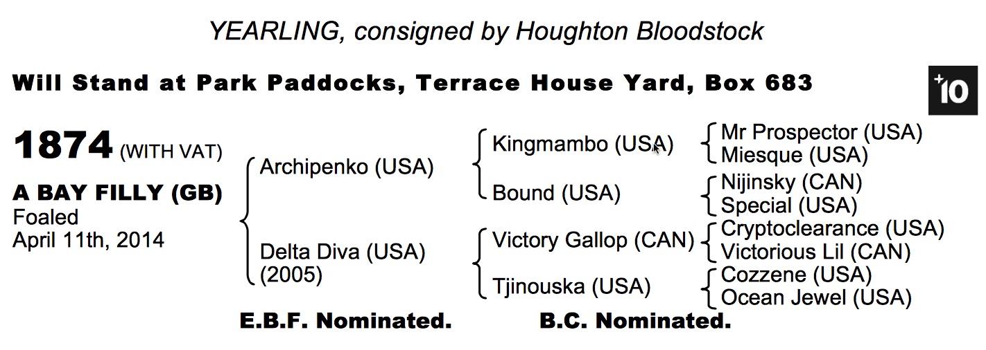 LOT 1874 -  Archipenko (USA) / Delta Diva (USA) B.F.