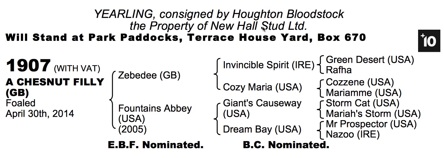 LOT 1907 - Zebedee (GB) / Fountains Abbey (USA) Ch.F.