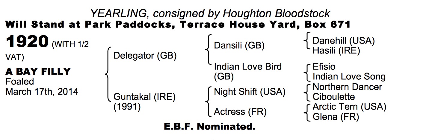 LOT 1920 - Delegator (GB) / Guntakal (IRE) B.F.