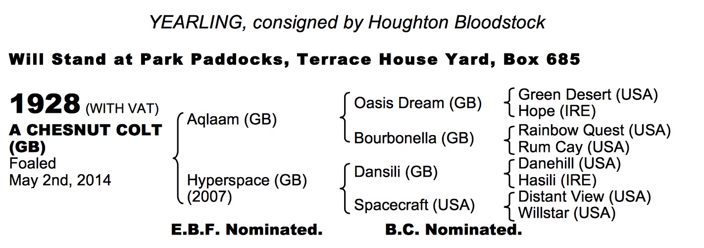 LOT 1928 - Aqlaam (GB) / Hyperspace (GB) Ch.C.