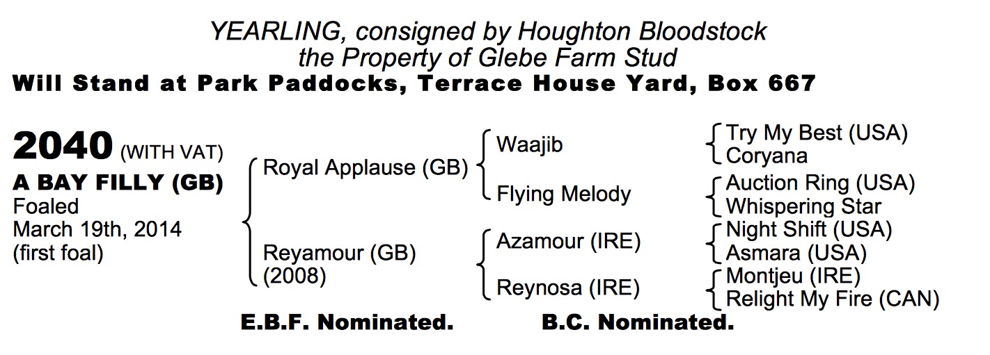 LOT 2040 - Royal Applause (GB) / Reyamour (GB) B.F.