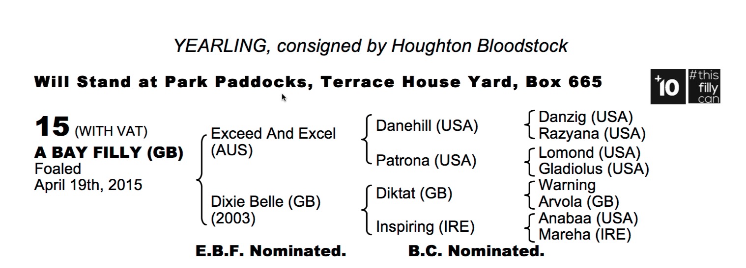 Lot 15 - Exceed And Excel (AUS) / Dixie Belle (GB) B.F