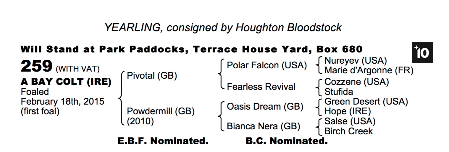 Lot 259 - Pivotal (GB) / Powdermill (GB) B.C.