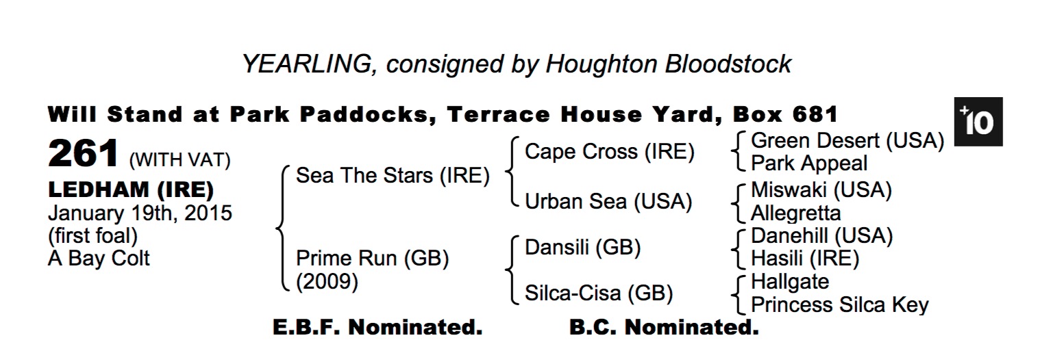 Lot 261 - Ledham (IRE) B.C. by Sea The Stars (IRE) x Prime Run (GB) 