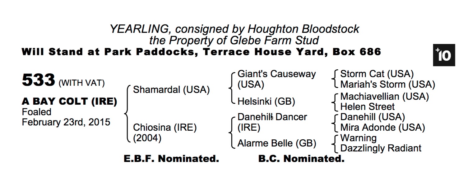 Lot 533 - Shamardal (USA) / Chiosina (IRE) B.C.