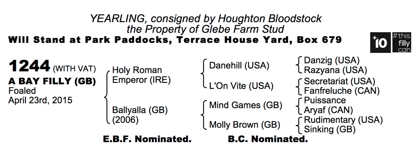 LOT 1244 - Holy Roman Emperor (IRE) / Ballyalla (GB) B.F.
