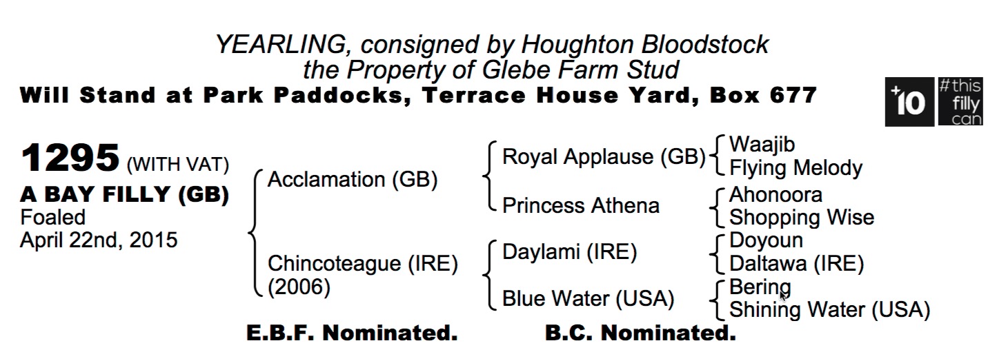 LOT 1295 - Acclamation (GB) / Chincoteague (IRE) B.F.