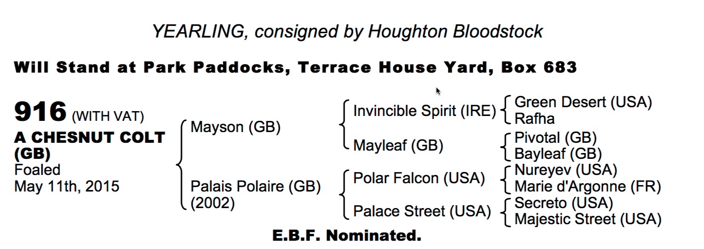 LOT 916 - Mayson (GB) / Palais Polaire (GB) Ch.C.
