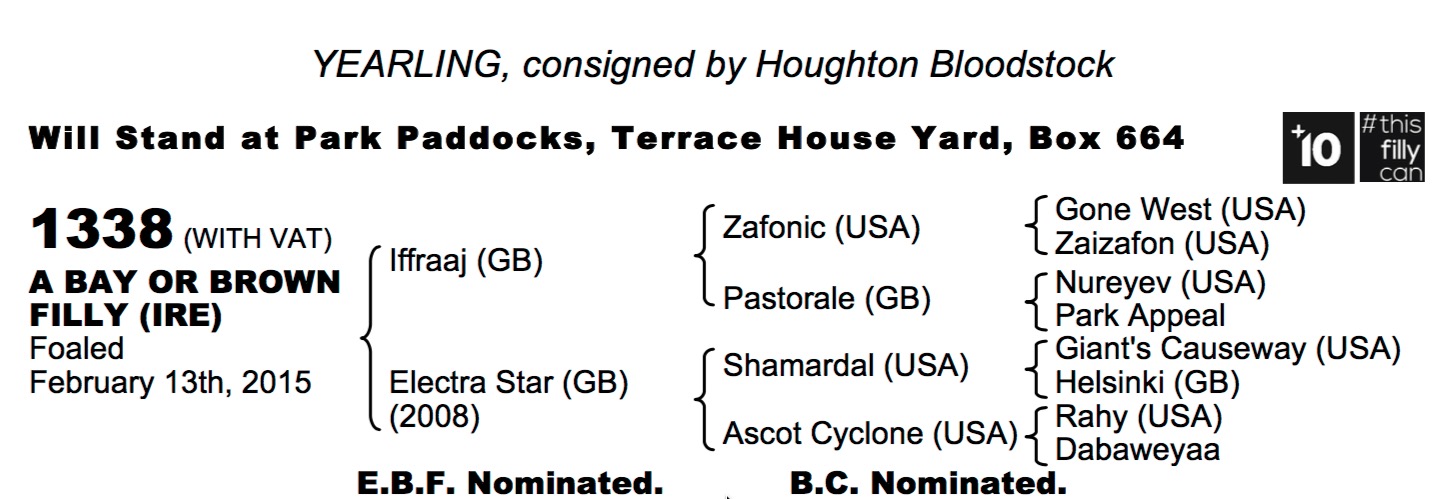 LOT 1338 - Iffraaj (GB) / Electra Star (GB) B/Br.F.