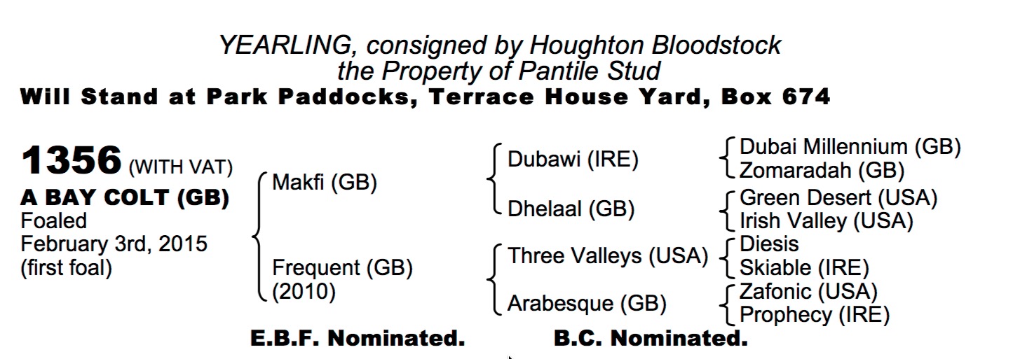 LOT 1356 - Makfi (GB) / Frequent (GB) B.C.
