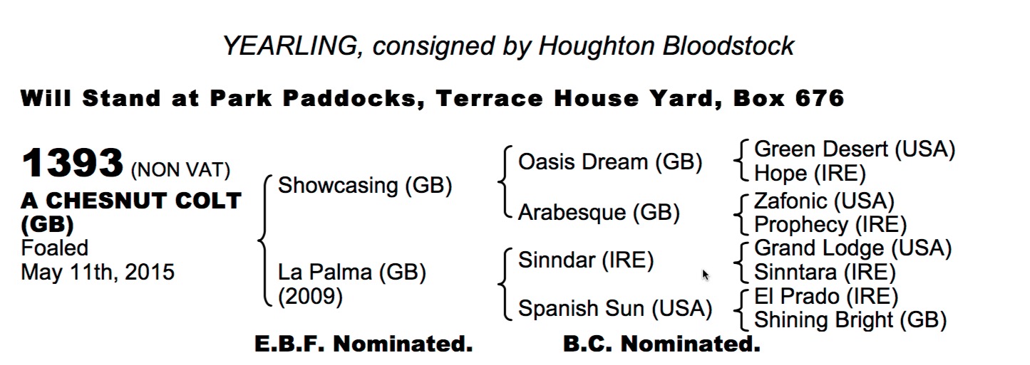 LOT 1393 - Showcasing (GB) / La Palma (GB) Ch.C.