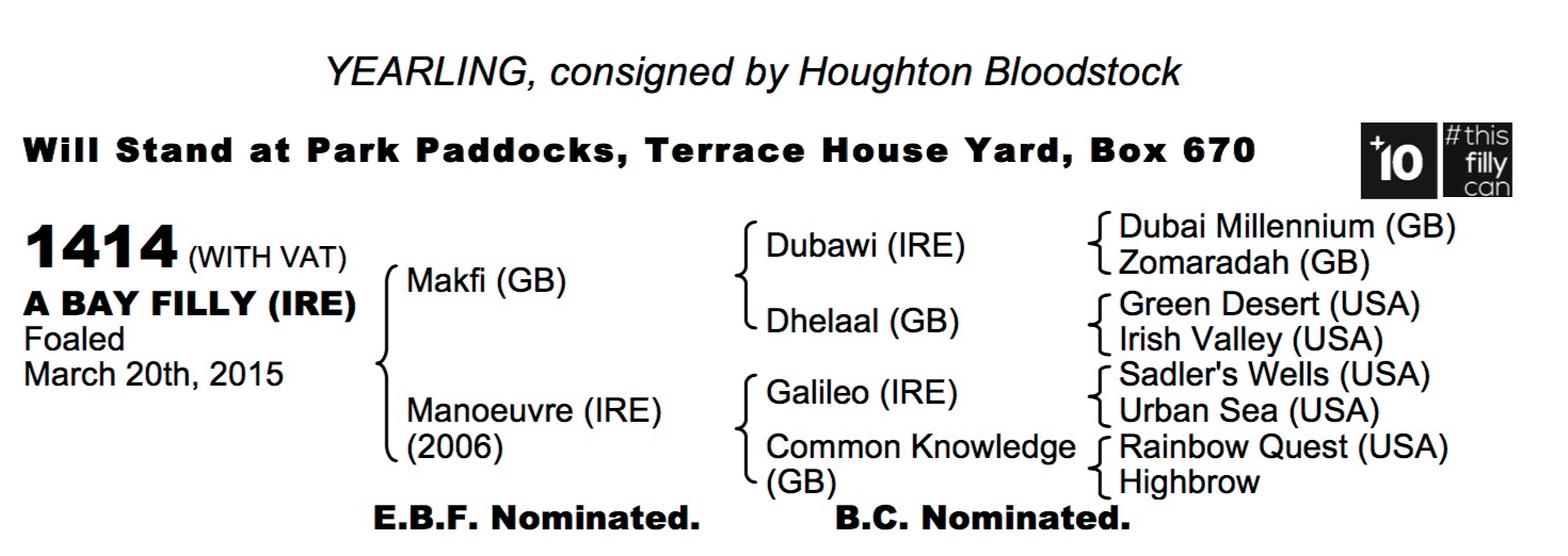 LOT 1414 - Makfi (GB) / Manoeuvre (IRE) B.F.