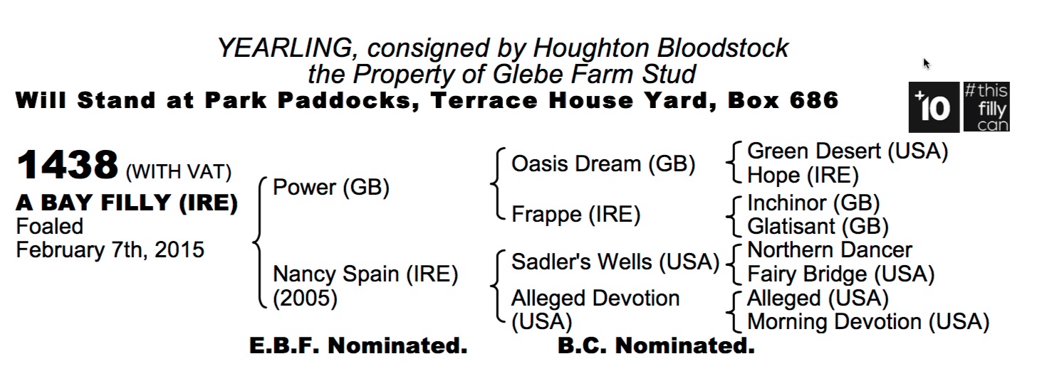 LOT 1438 - Power (GB) / Nancy Spain (IRE) B.F.