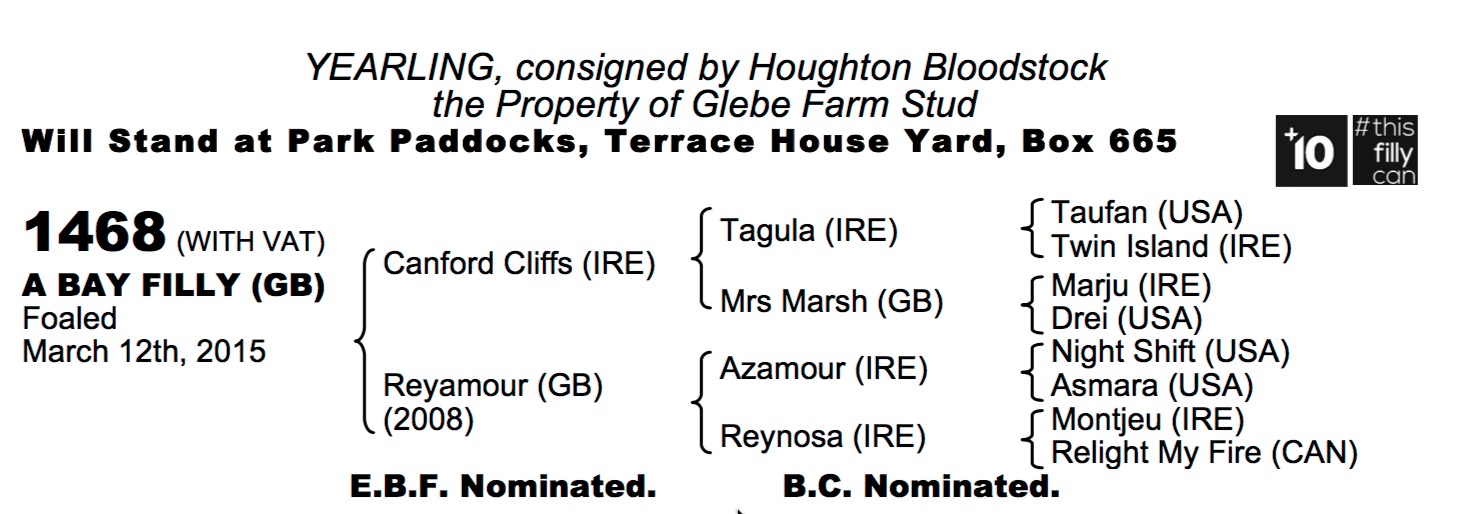 LOT 1468 - Canford Cliffs (IRE) / Reyamour (GB) B.F.
