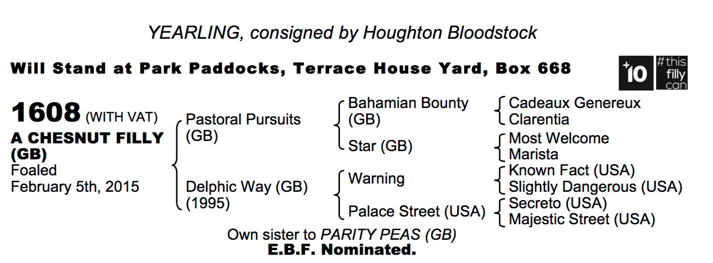 LOT 1608 - Pastoral Pursuits (GB) / Delphic Way (GB) Ch.F.