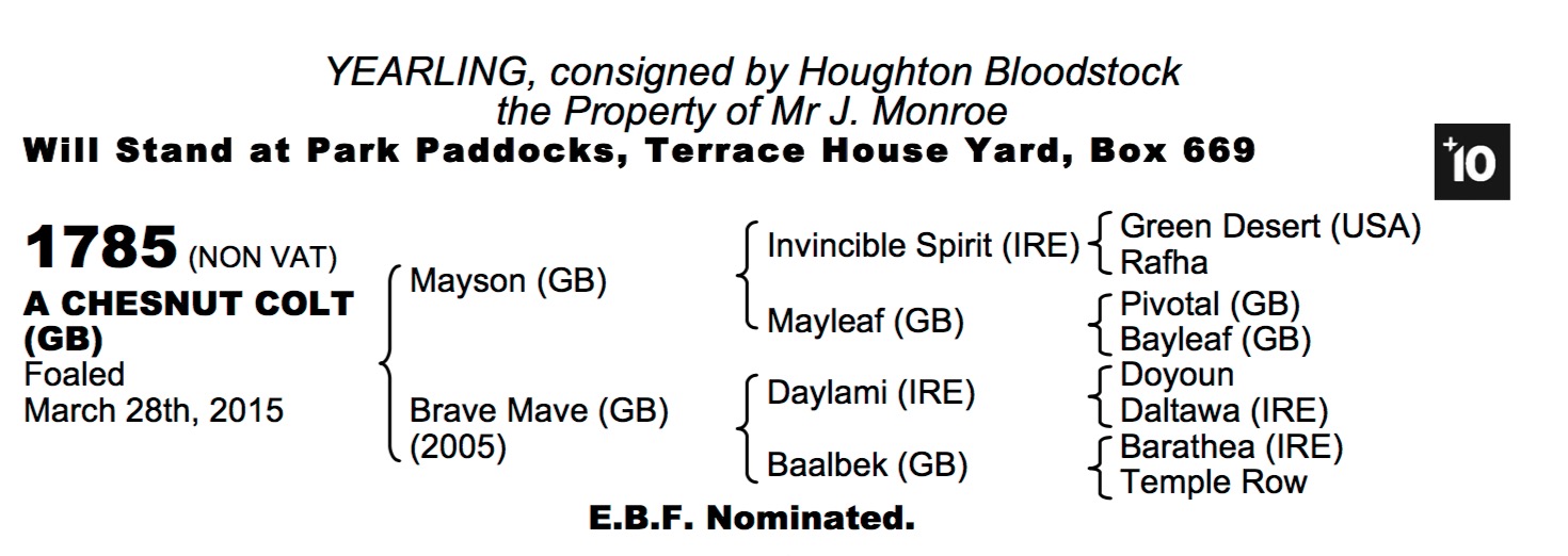 LOT 1785 - Mayson (GB) / Brave Mave (GB) Ch.C.