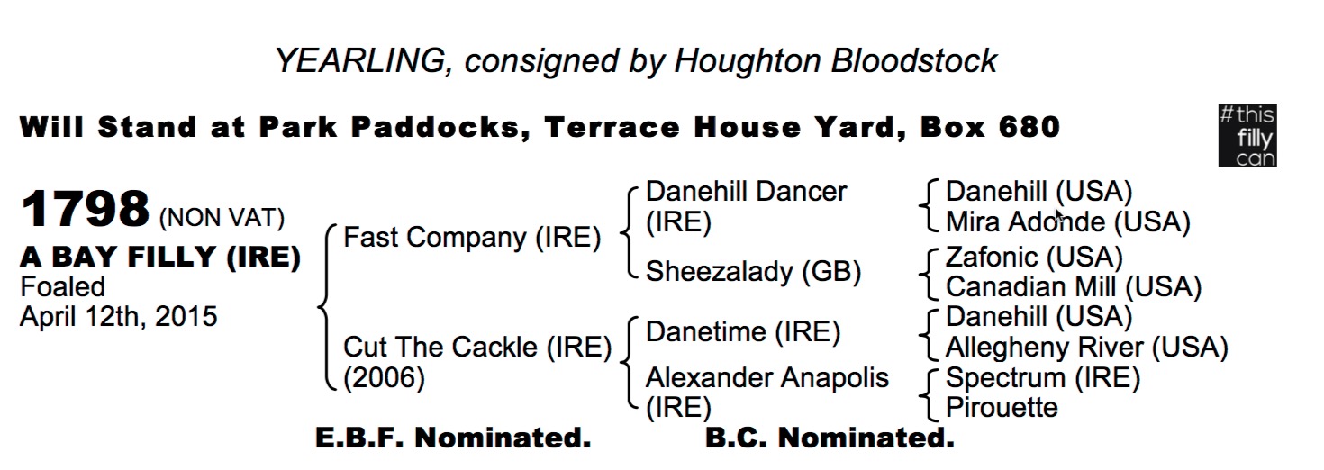 LOT 1798 - Fast Company (IRE) / Cut The Cackle (IRE) B.F.