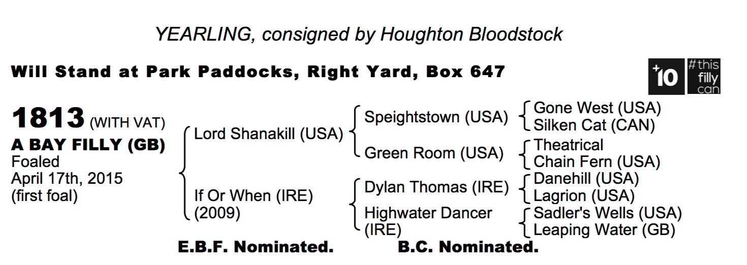 LOT 1813 - Lord Shanakill (USA) / If Or When (IRE) B.F.