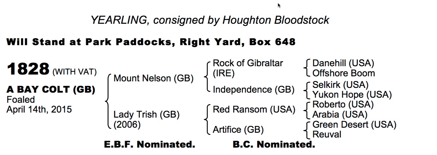 LOT 1828 - Mount Nelson (GB) / Lady Trish (GB) B.C.