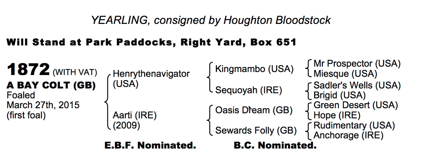 LOT 1872 - Henrythenavigator (USA) / Aarti (IRE) B.C.