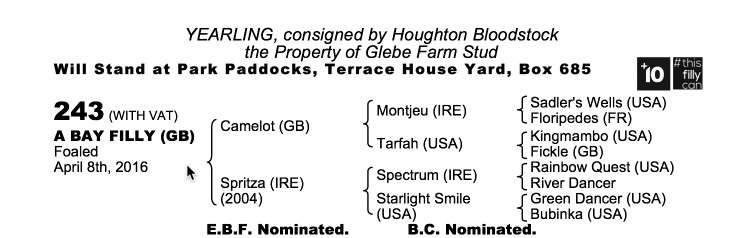 Lot 243 - Camelot (GB) / Spritza (IRE) B.F.