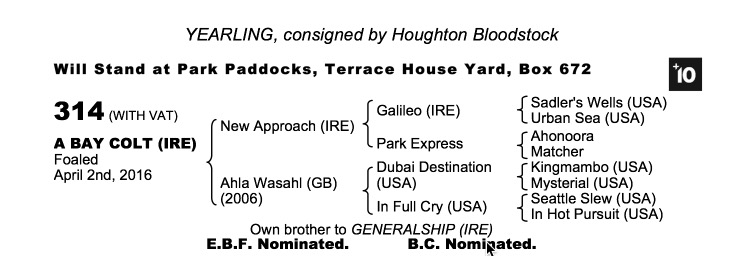 Lot 314 - New Approach (IRE) / Ahla Wasahl (GB) B.C