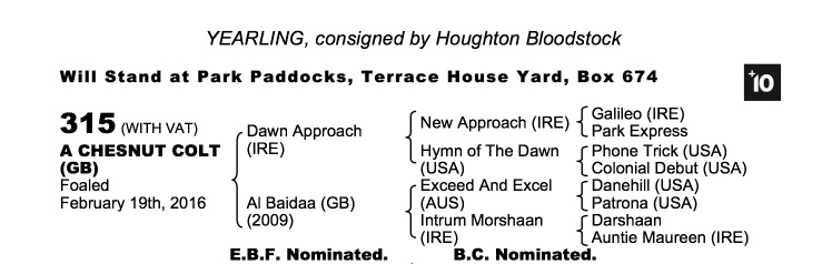 Lot 315 - Dawn Approach (IRE) / Al Baidaa (GB) Ch.C.
