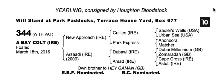 Lot 344 - New Approach (IRE) / Arsaadi (IRE) B.C.