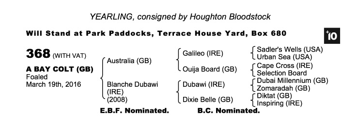 Lot 368 - Australia (GB) / Blanche Dubawi (IRE) B.C.