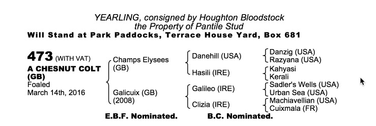 Lot 473 - Champs Elysees (GB) / Galicuix (GB) Ch.C.