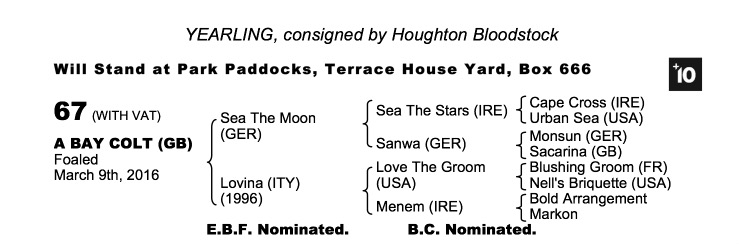 Lot 67 - Sea The Moon (GER) / Lovina (ITY) B.C.