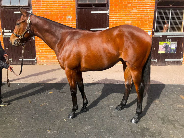 Lot 355 Book 1