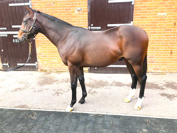 Lot 442 Book 1