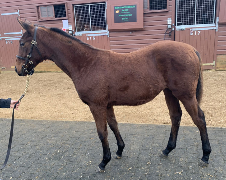LOT 580
