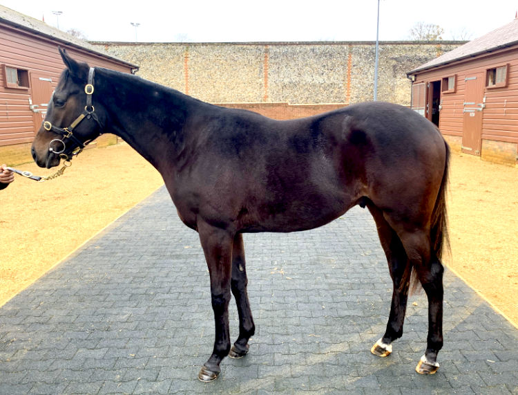LOT 34