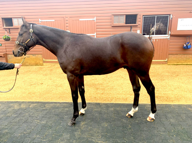 LOT 39