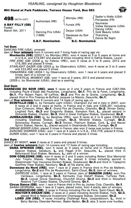 Lot 498 Tattersalls Oct 12 Yearling sales