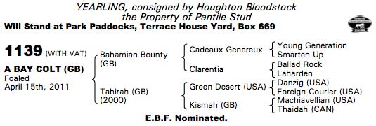 LOT 1139 - Tattersalls sales