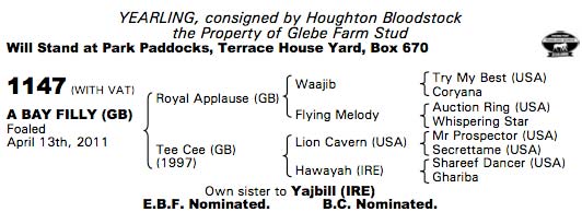 LOT 1147 - Tattersalls sales