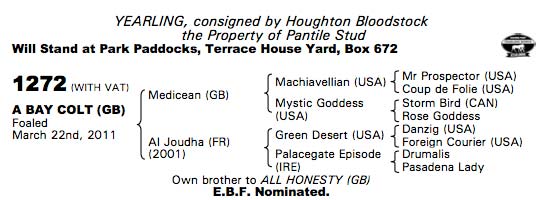 LOT 1272 Tattersalls sale