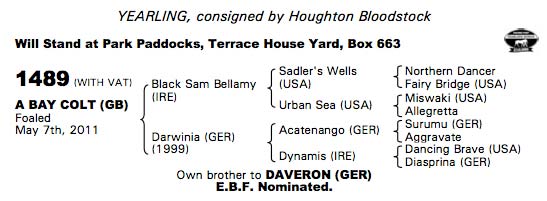 LOT 1489 - Tattersalls sale