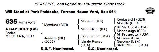 LOT 635 Tattersalls sale