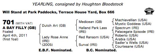 LOT 701 - Tattersalls sales