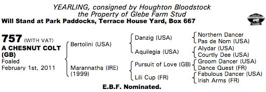 LOT 757 - Tattersalls Sales