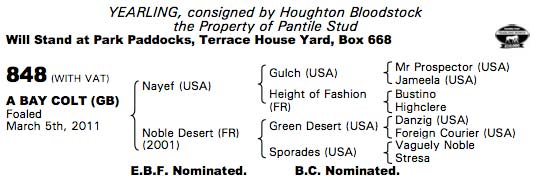 LOT 848 - Tattersalls Sales